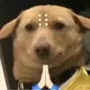 阿兰木木武磊找点球