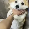 快乐鼠鼠联