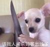 挨刀的华哥