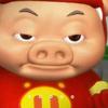 圆神也是神