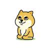 Paulinho_8