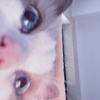 上海亚洲足球先生小孙6