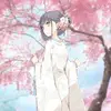 梅者如西zz