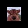 d3是我