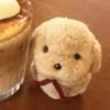 Puzzle_