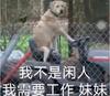 火星阿尔瓦塞特小潘2