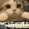 凉月若月