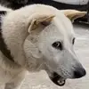浙江慕尼黑安联球场小董3