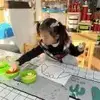 苏州金靴奖小苏3
