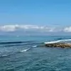 蓝鹰熊