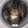 用户37683