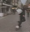 树曲