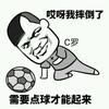 球迷25602881