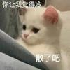东营防守型中场小陶