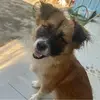 德德德布劳内内内