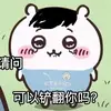 蓝月丁丁历险记