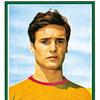爆炒银鱼