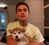 王者体育用户