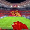 利昂内尔的球迷