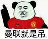 曼联神锋马大头