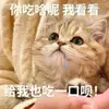 洮之遥遥