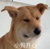 嗷嗷嗷嗷嗷奥