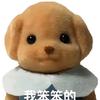 哈兰哈兰哈兰真强鸭