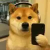 内向王