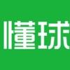 4231主教练