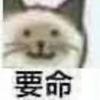 芙蓉王源zzz