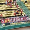 爱吃菠萝的大鸭