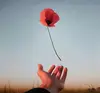 楠哥的温柔你不懂