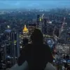 山椒鱼2117