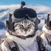 bwinger
