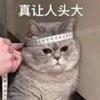 五等分de商鞅