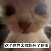 葫芦岛马佩三色城球场小龙