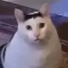 武汉足球守望者