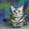 c_cachet