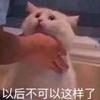 江苏内卡竞技场小胡