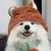 白城王子公园体育场小蔡