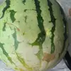 挖坟的辅导费