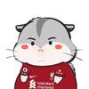 弗洛里安-理查德-维尔茨