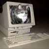 心慟