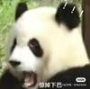 眼皮很沉