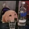 龙得得
