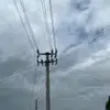 报与桃花一处开