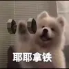 BVB强强
