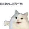 全是主观