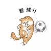 不攻不守