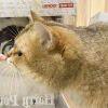 球迷3732567